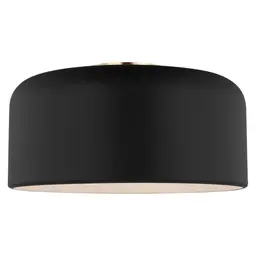 Midnight Black LED Bulb(s) Included