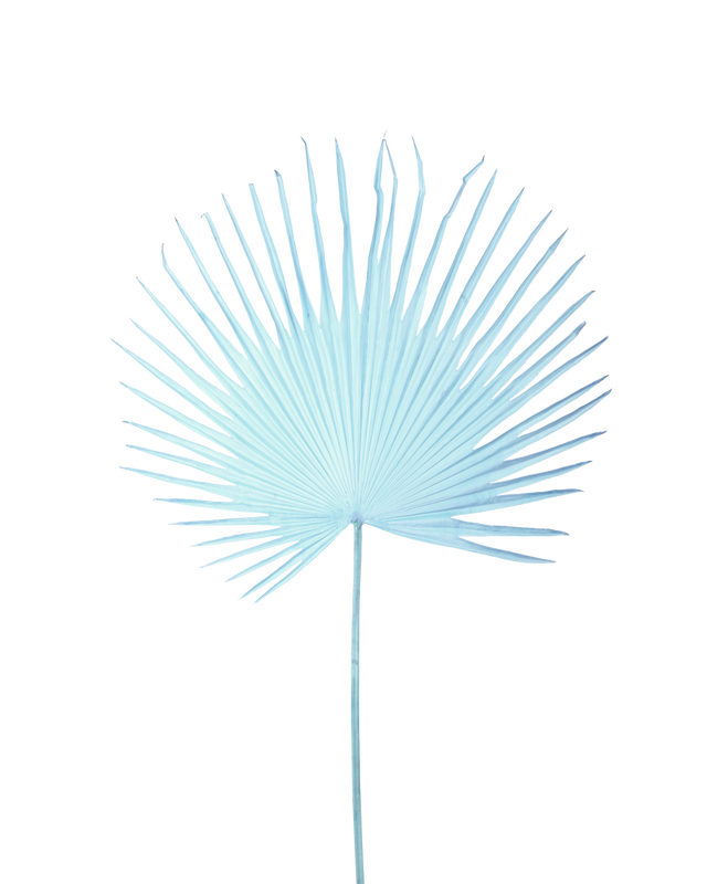 Купить Искуственная ветка Fan Palm Leaf в интернет-магазине roooms.ru