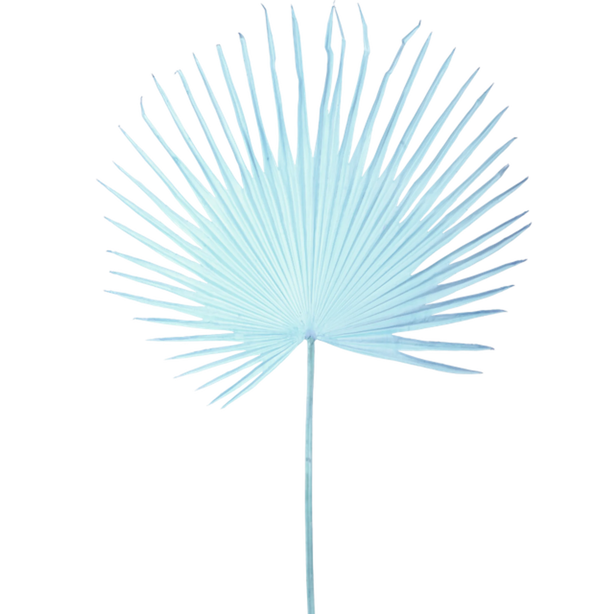 Купить Искуственная ветка Fan Palm Leaf в интернет-магазине roooms.ru