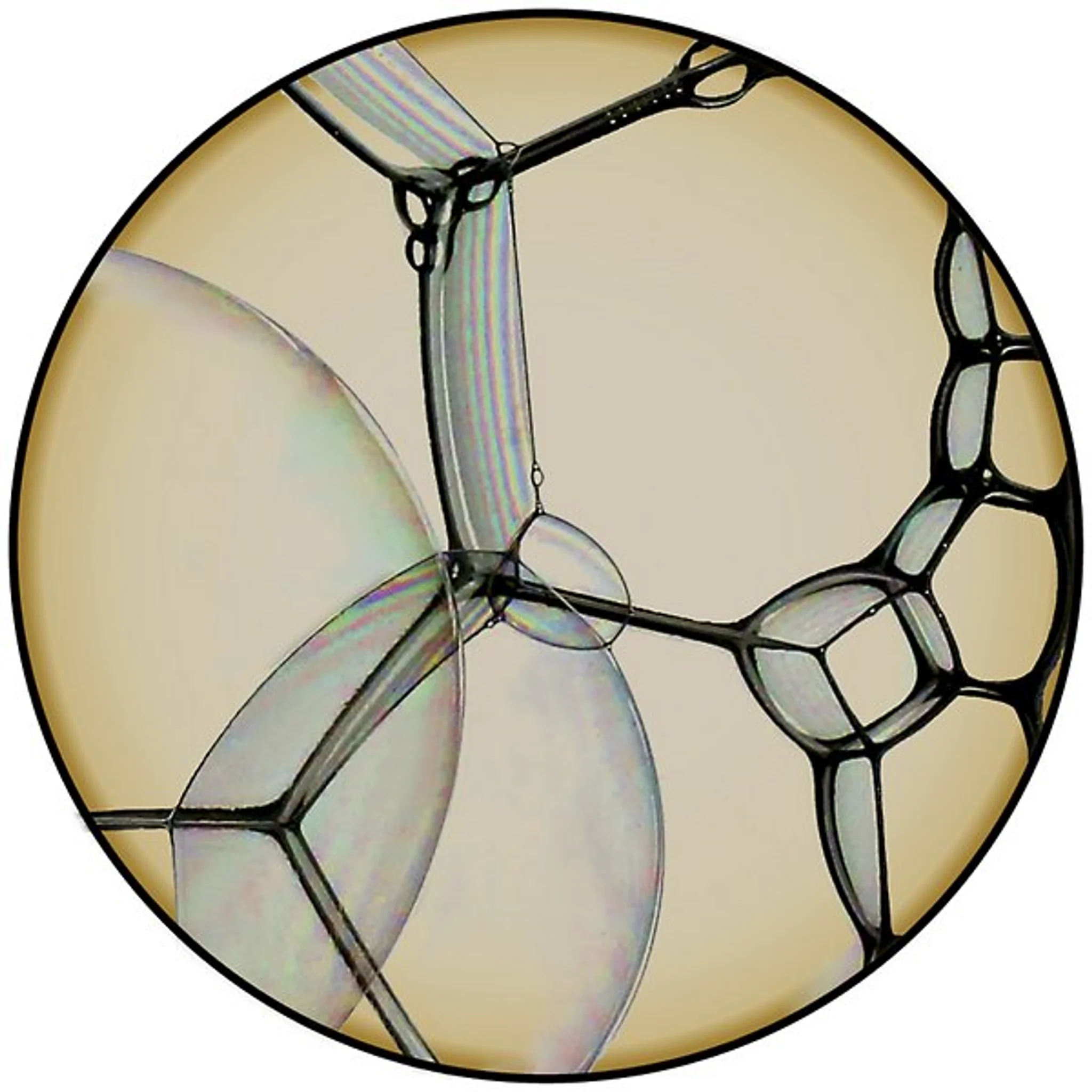 Купить Коврик Bubble Zoom Round Area Rug в интернет-магазине roooms.ru