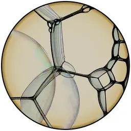 11 ft 5 in,Yellow,Low Pile Polyamide