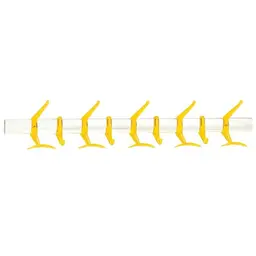 Small,Transparent Orange Red