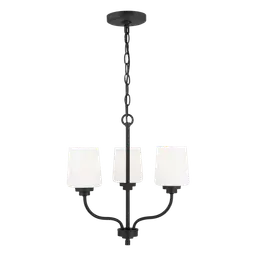 Midnight Black LED Bulb(s) Included