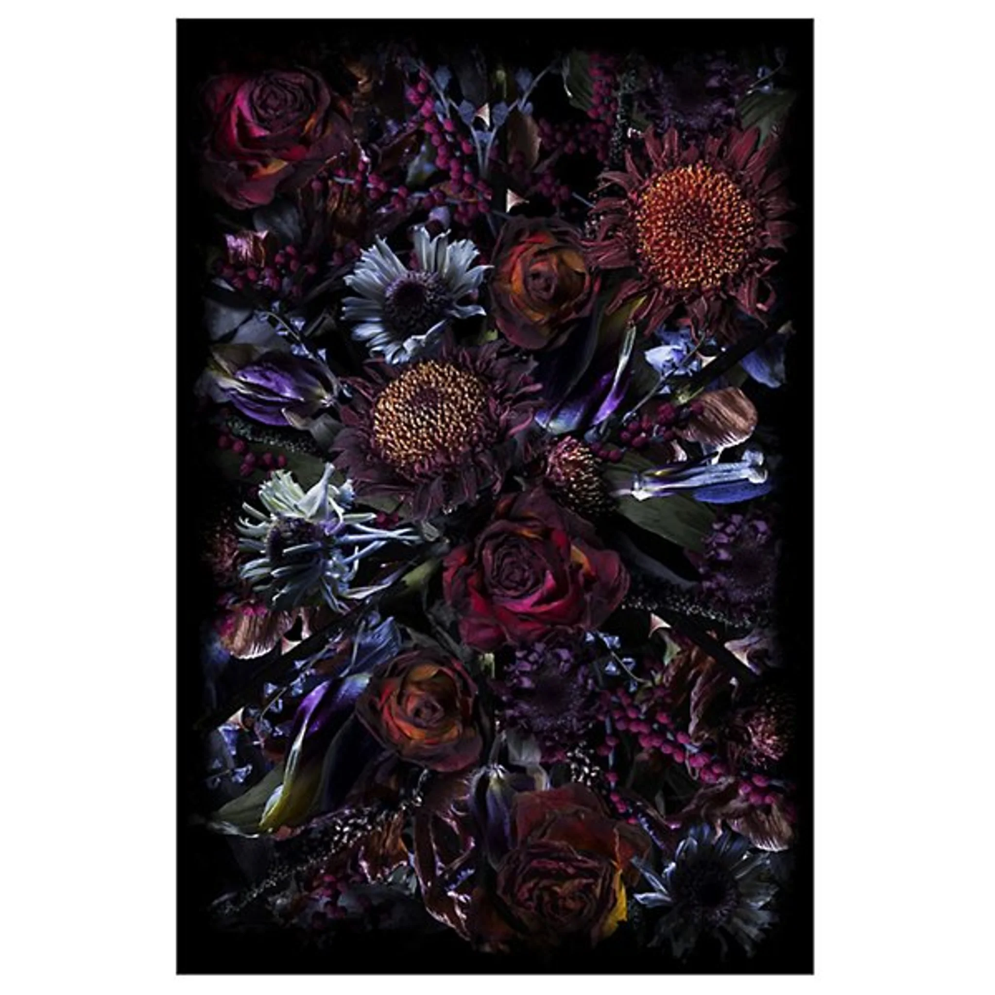 Купить Коврик Fool's Paradise Rug в интернет-магазине roooms.ru