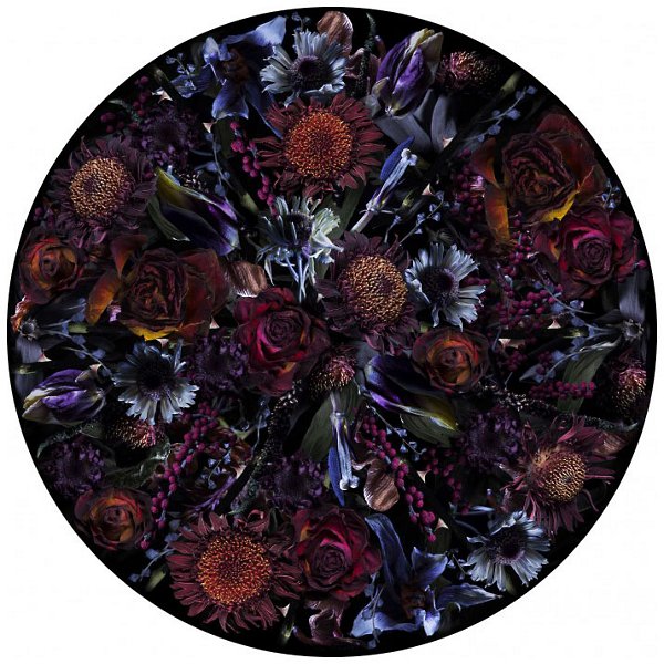 Купить Коврик Fool's Paradise Round Rug в интернет-магазине roooms.ru
