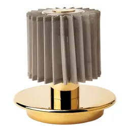 Gold with Silver