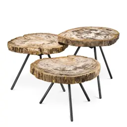 light range petrified wood | gunmetal finish