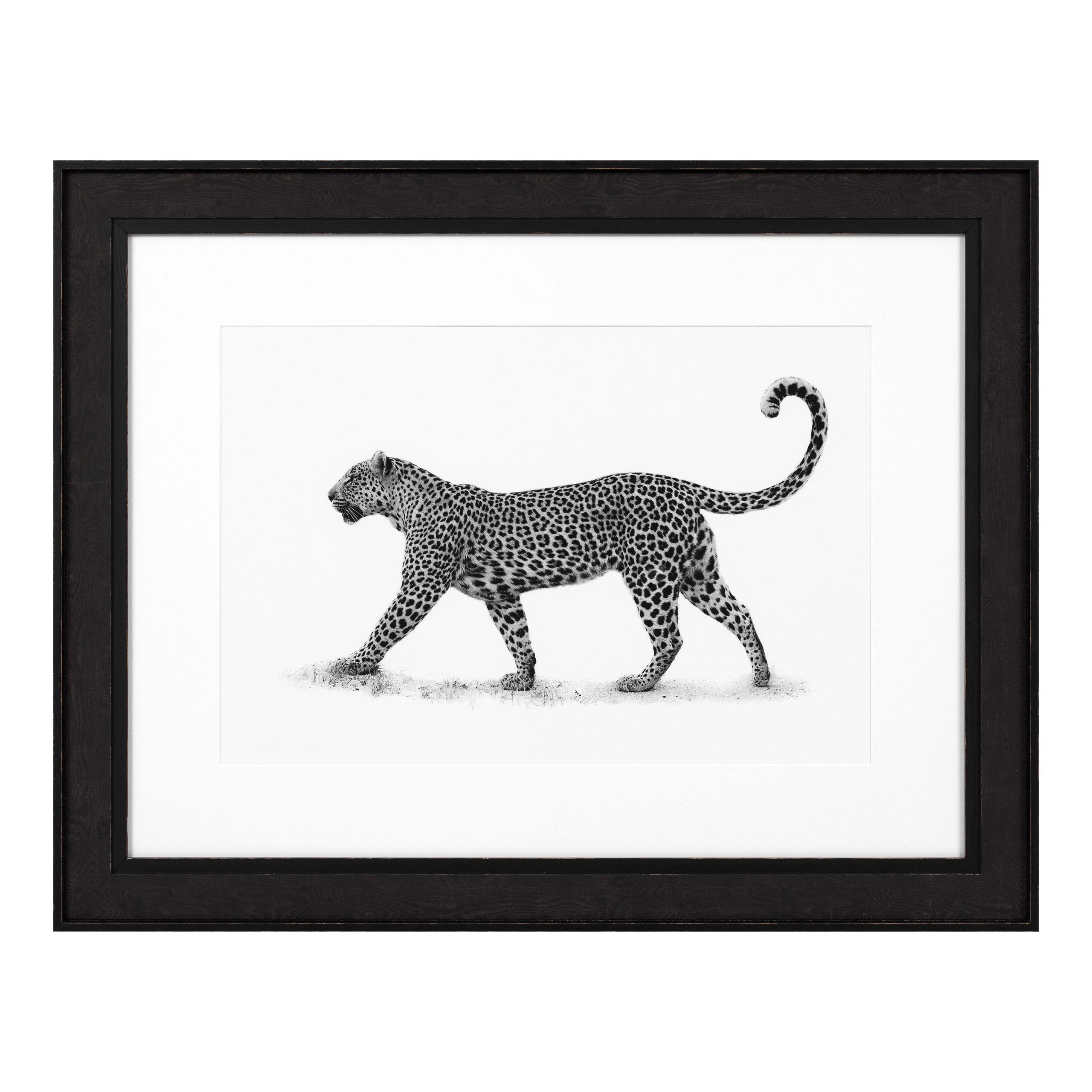 Купить Постер Print The Leopard в интернет-магазине roooms.ru