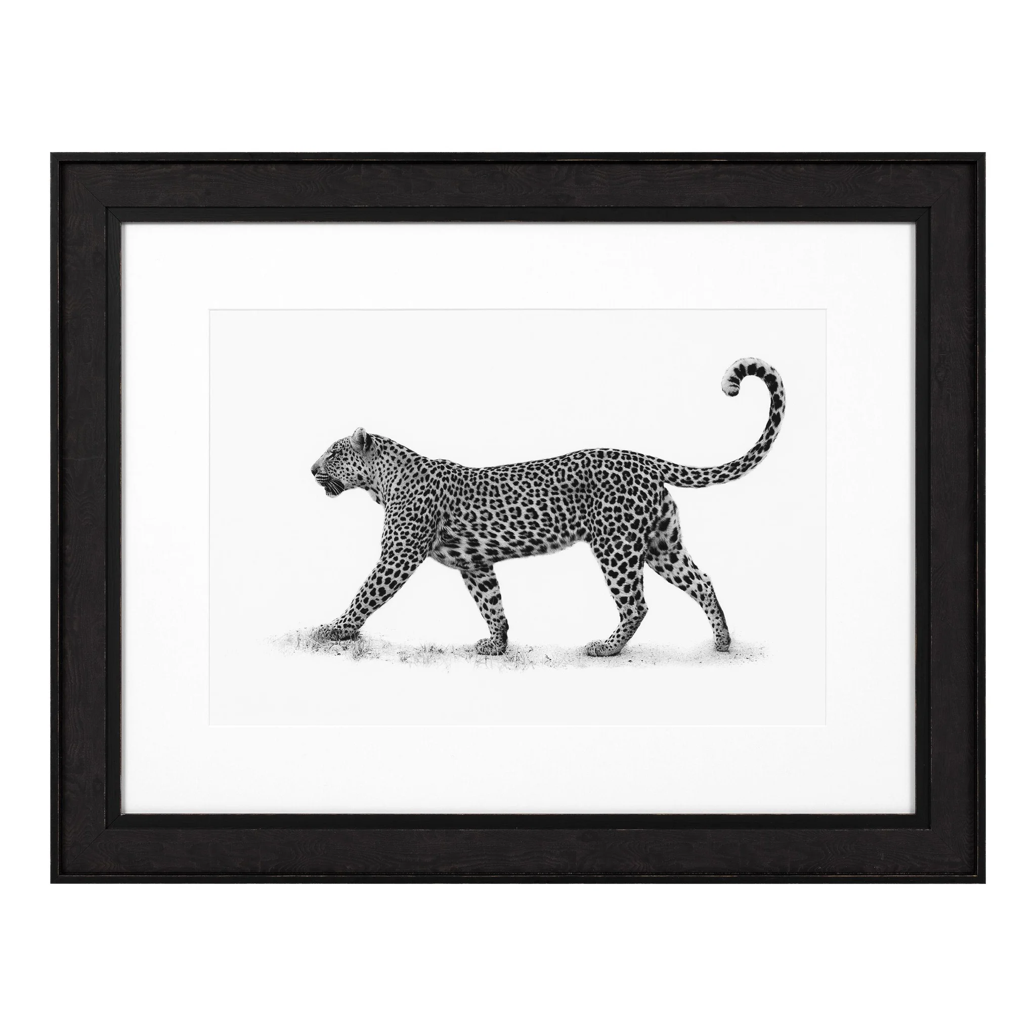 Купить Постер Print The Leopard в интернет-магазине roooms.ru