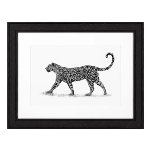 Купить Постер Print The Leopard в интернет-магазине roooms.ru